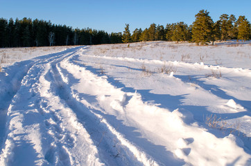 Fototapeta na wymiar Snowy road in a field leading to pine forest. Winter road to nowhere in sunny day, snow-covered fresh car track. Car traces in a deep snow of remote rural area 