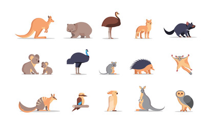 Fototapeta set cartoon endangered wild australian animals collection wildlife species fauna concept flat horizontal vector illustration obraz