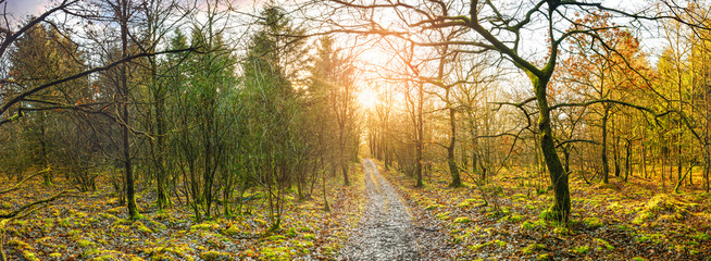 Obraz premium Panorama scenery with a trail going through