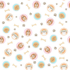 Cute seamless pattern with dogs portraits, bones, dog footprints. Shih tzu, yorkshire terrier, poodle illustrations. Cute dog vector design. For prints, textile, decorative wallpaper