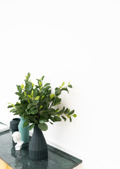 Close up black matt ceramic  vase and artificial plant in vase on green marble top with white spray-painted wall in the background /apartment interior /object on white background