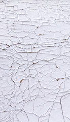 texture cracked paint like a shell
