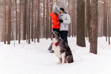 Fototapeta na wymiar border collie dog sitting in the winter forest on the background of a couple of its owners in love