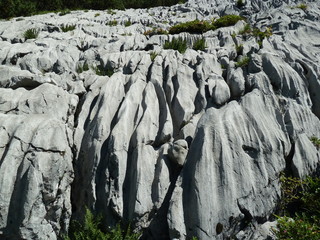 Felsgestein in den Alpen