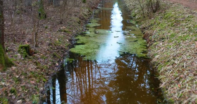 Contaminated water from canalization channels pollutes nature. Environ. Plastic, dead. Water Pollution With Congestion In The Riverbed. Urban Garbage Global Problem. Environmental.
