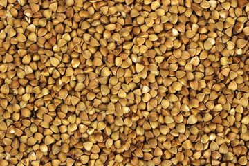 Fresh buckwheat close-up. Background, texture