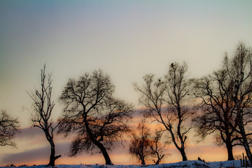 Fototapeta na wymiar Winter sun in the mountains of Romania