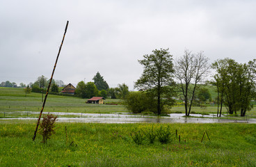 Obraz premium Überschwemmte Wiesen