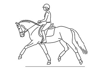 Fototapeta na wymiar Rider and horses demonstrate good trot