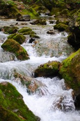 Naklejka na ściany i meble Stones lie in water in mountain stream
