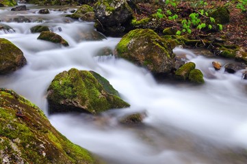 Fototapeta na wymiar Stones lie in water in mountain stream