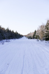 Fototapeta na wymiar Snowy winter trail
