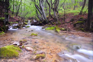 Stones lie in water in mountain stream