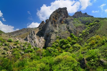 Fototapeta na wymiar Rocky cliff in Crimean mountains