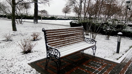 Scenic landscape with trees covered by snow on a frozen winter day. Beautiful view of fresh snow on pine branches. Healthy lifestyle with walking on fresh air.