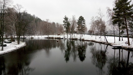 Scenic landscape with trees covered by snow on a frozen winter day. Beautiful view of fresh snow on pine branches. Healthy lifestyle with walking on fresh air.