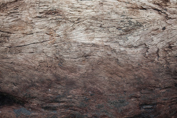 Vintage wood texture as background.