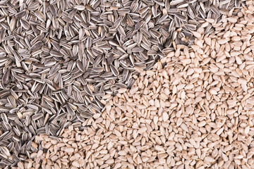 Sonnenblumenkerne geschält und ungeschält, diagonal angeordnet,