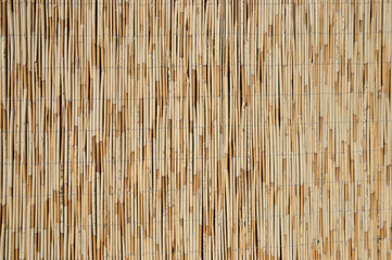 Reed wall texture