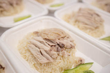 Chicken Rice on a Food Container  Box