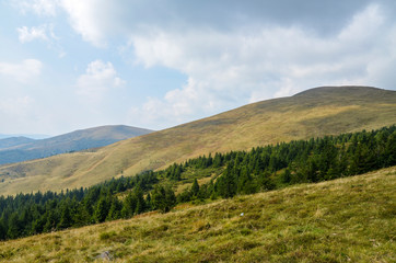 Amazing forest on a steep mountain slope. Svydovets ridge. Carpathian mountains. Ukraine