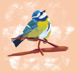 Tit sits on a branch