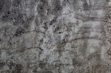 Vintage stone texture as background.