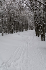 Parco Nazionale delle Foreste Casentinesi, Italy