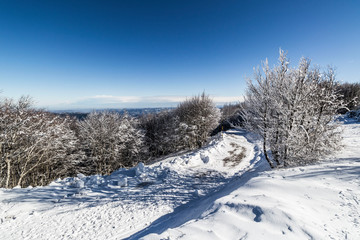 Parco Nazionale delle Foreste Casentinesi, Italy