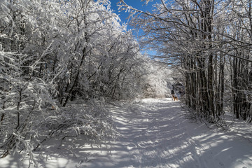 Parco Nazionale delle Foreste Casentinesi, Italy