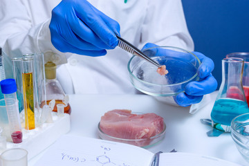 Food safety expert inspecting red meat in laboratory