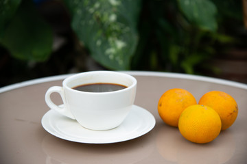 a clear white ceramic cup and plate of black coffee with three orange on glass table with big green leaf background