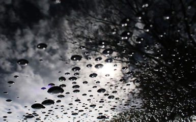 water drops on a glass
