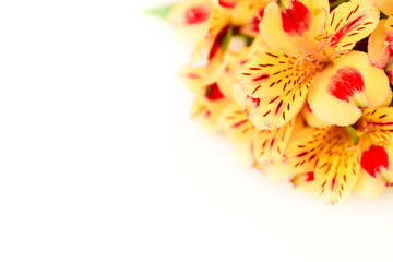 A small pink heart with a place for text decorated with a yellow flowers on a white background