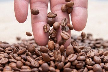 Coffee beans in the hand.