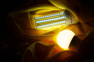 Energy saving light bulb and white light; home and work lighting.