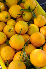 froh bio lemons from italy