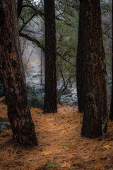 Sedona Drive into the Clouds