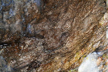 Brown textured wall, texture on a wall inside a cave.