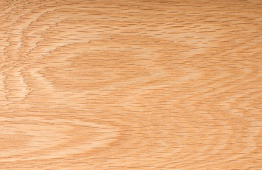 Wood texture, oak wood detail of beautifull nice little warm oak