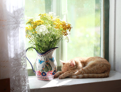 A rustic window with a red cat and a jug of wildflowers. Selective focus