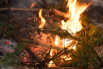 winter bonfire burns bright orange
