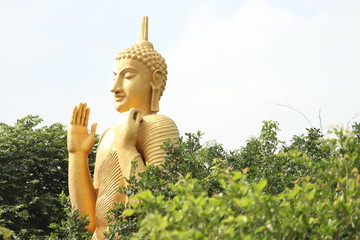 golden buddha statue