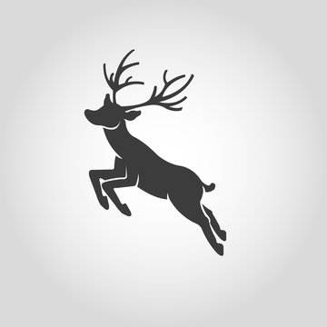 Deer isolated white background