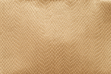 Gold python skin. The texture of genuine leather