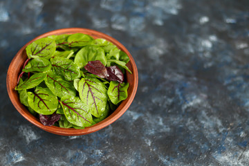 A mixture of green young lettuce, spinach, arugula and young beetroot. Healthy diet. Vegetarian breakfast. On a dark background.