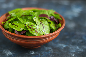 A mixture of green young lettuce, spinach, arugula and young beetroot. Healthy diet. Vegetarian breakfast. On a dark background.