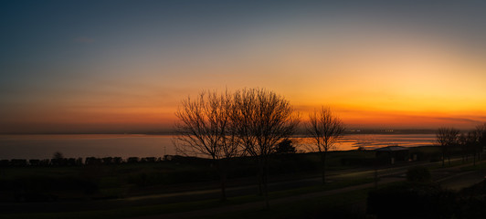 The silhouette of trees along the promenade of the west cliff in Ramsgate during a glorious sunset creating golden reflections in Pegwell Bay.