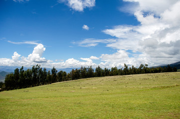 Fototapeta na wymiar beautiful landscape in te peruvian andes