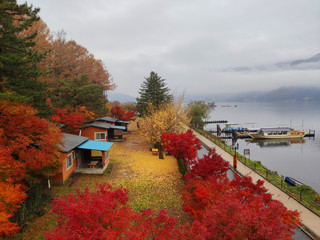 Shore of Lake Kawaguchi in autumn colors. Kawaguchi is second largest of famous Fuji Five Lakes and popular tourist destination in mount Fuji area, Japan